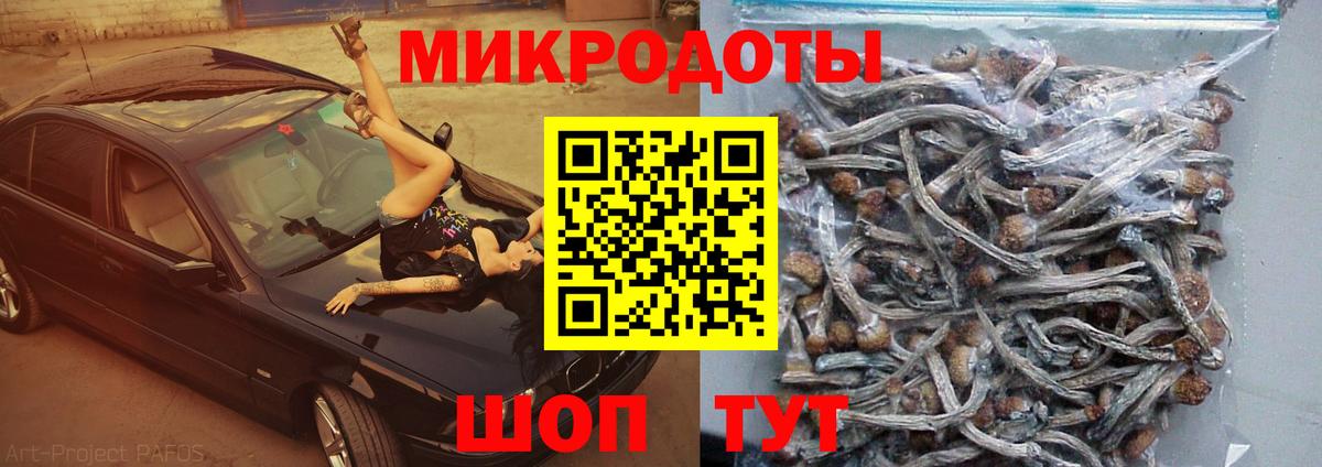 Псилоцибиновые грибы GOLDEN TEACHER Междуреченск